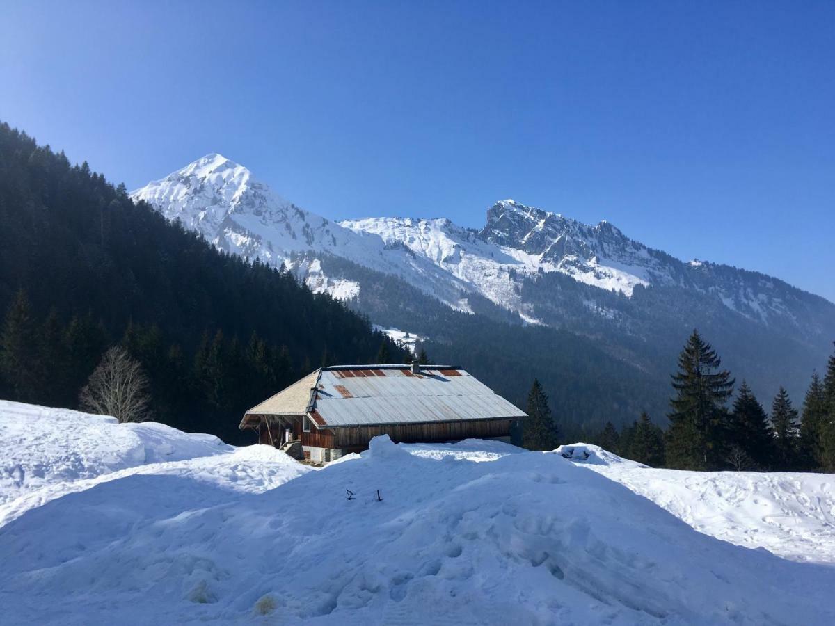 Chalet Marmotte 2 Morzine Εξωτερικό φωτογραφία