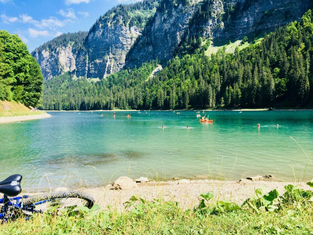 Chalet Marmotte 2 Morzine Εξωτερικό φωτογραφία