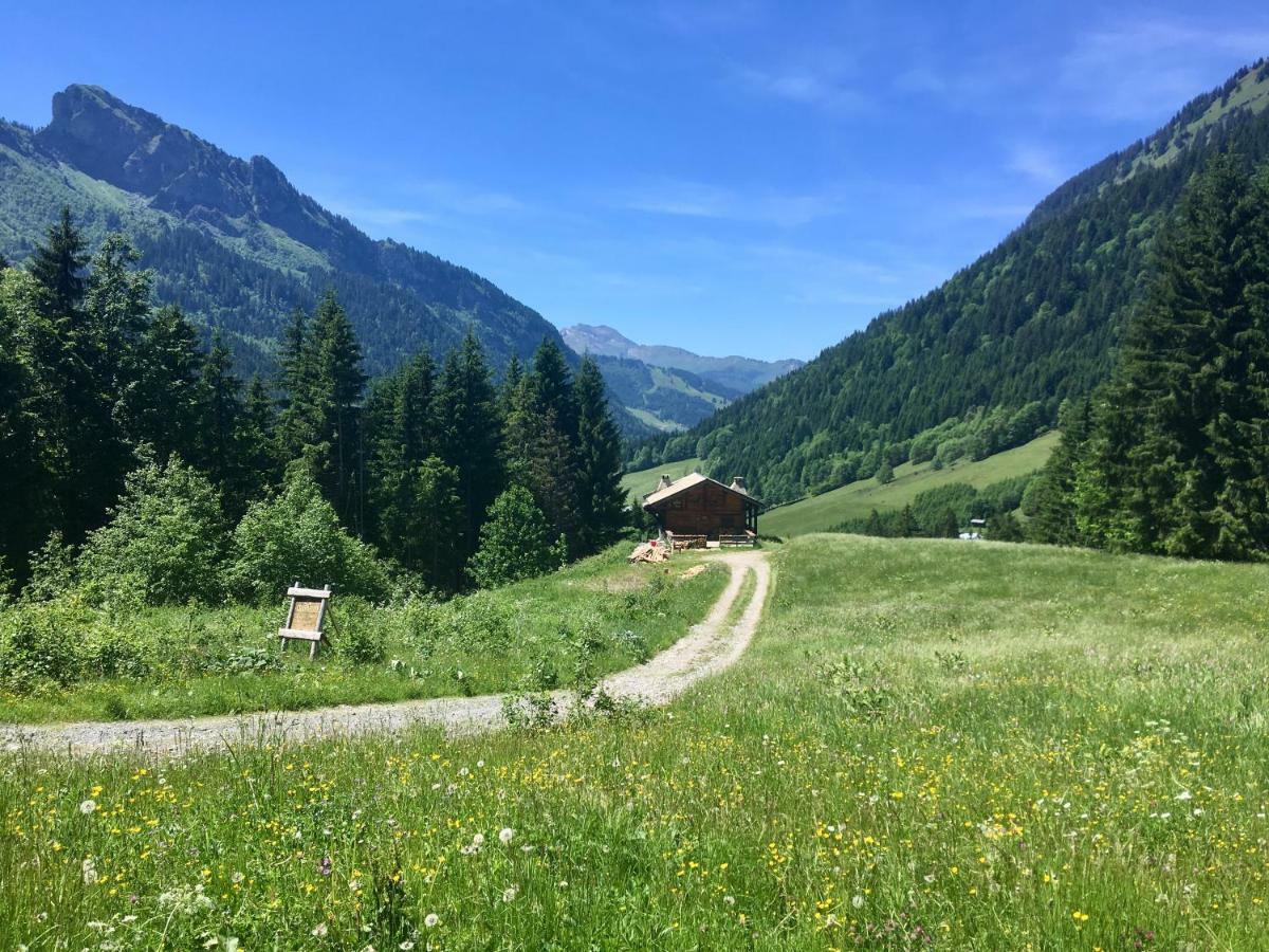 Chalet Marmotte 2 Morzine Εξωτερικό φωτογραφία