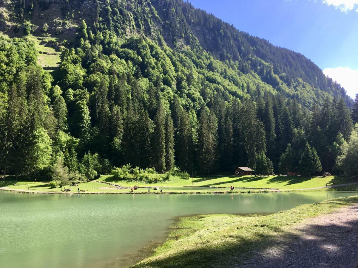 Chalet Marmotte 2 Morzine Εξωτερικό φωτογραφία